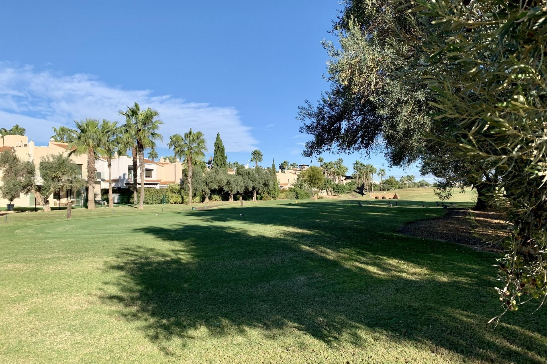 Novostavba - Bungalow - San Javier - Roda Golf