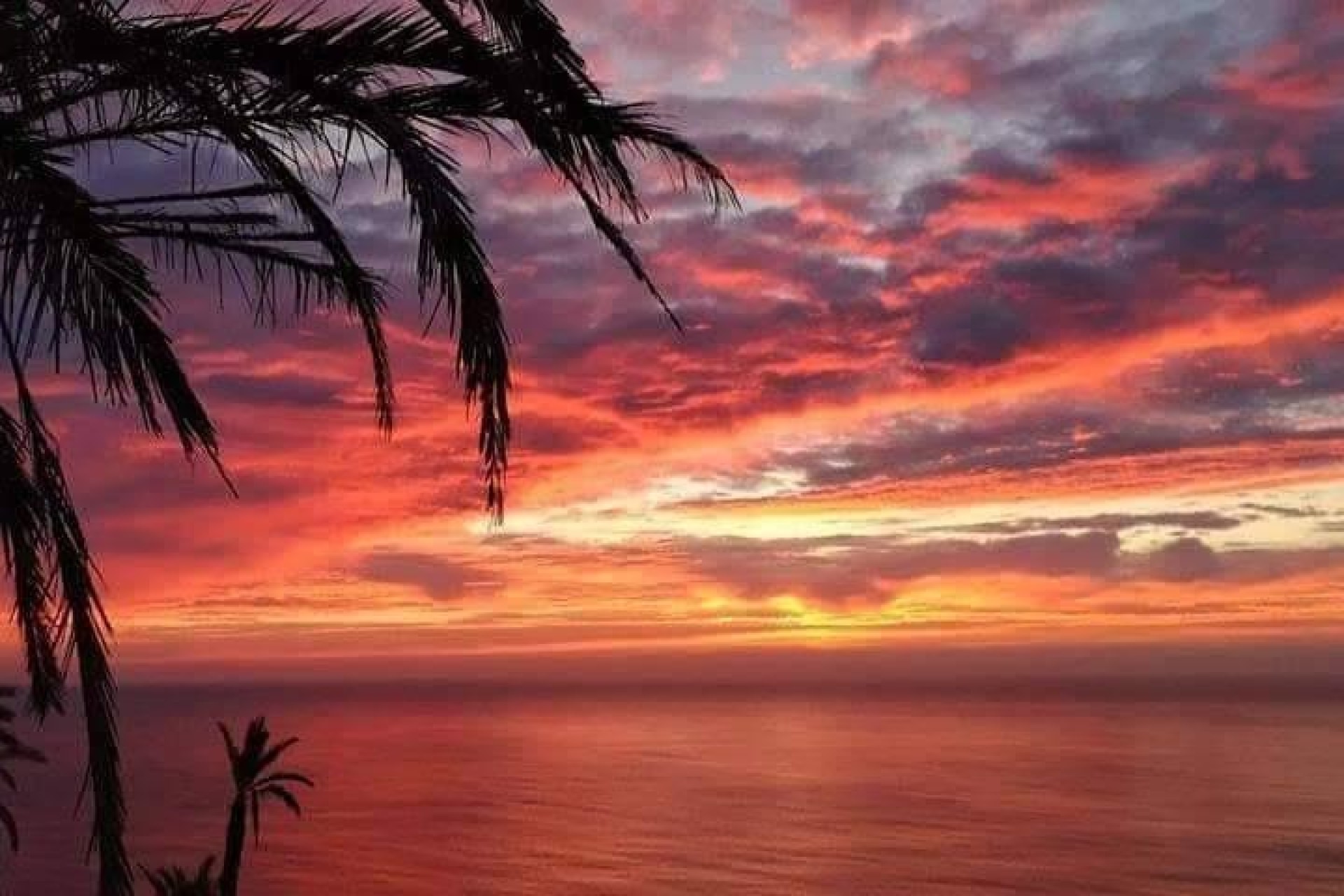 Novostavba - Bungalow - Torrevieja - Altos del Sol