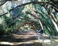 Novostavba - Bungalow - Torrevieja - Altos del Sol