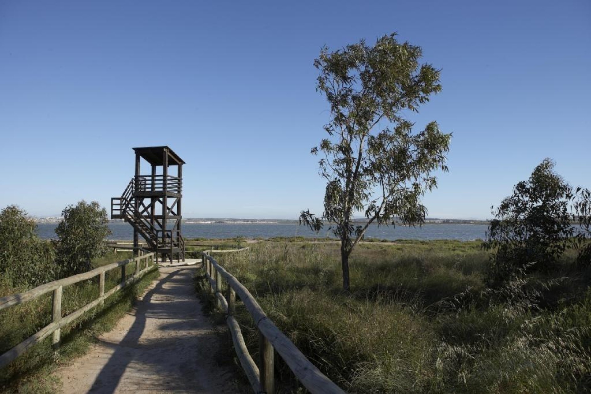 Novostavba - Bungalow - Torrevieja - Altos del Sol