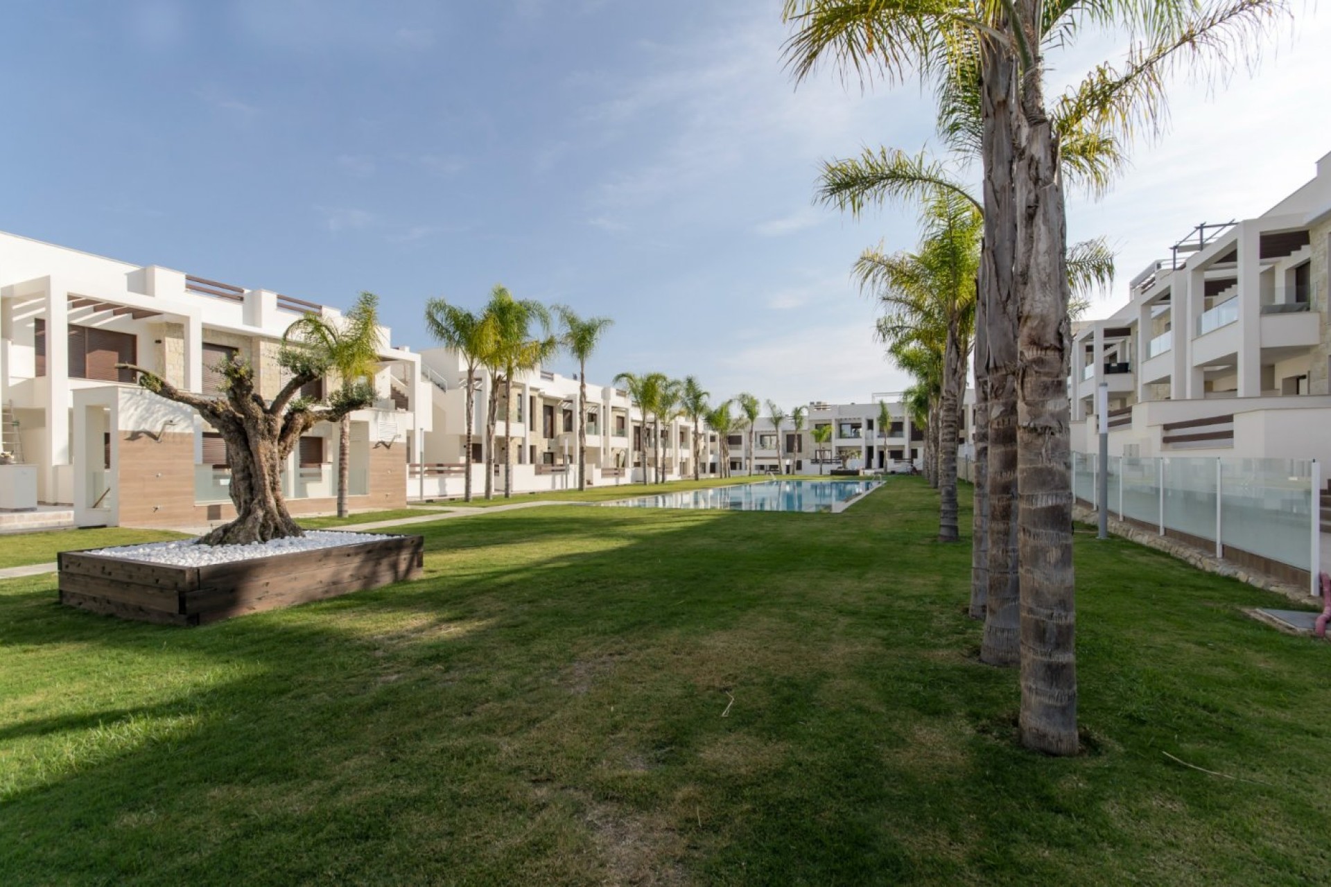 Novostavba - Bungalow - Torrevieja - Los Balcones