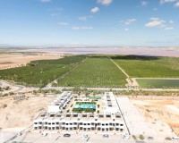 Novostavba - Bungalow - Torrevieja - Los Balcones