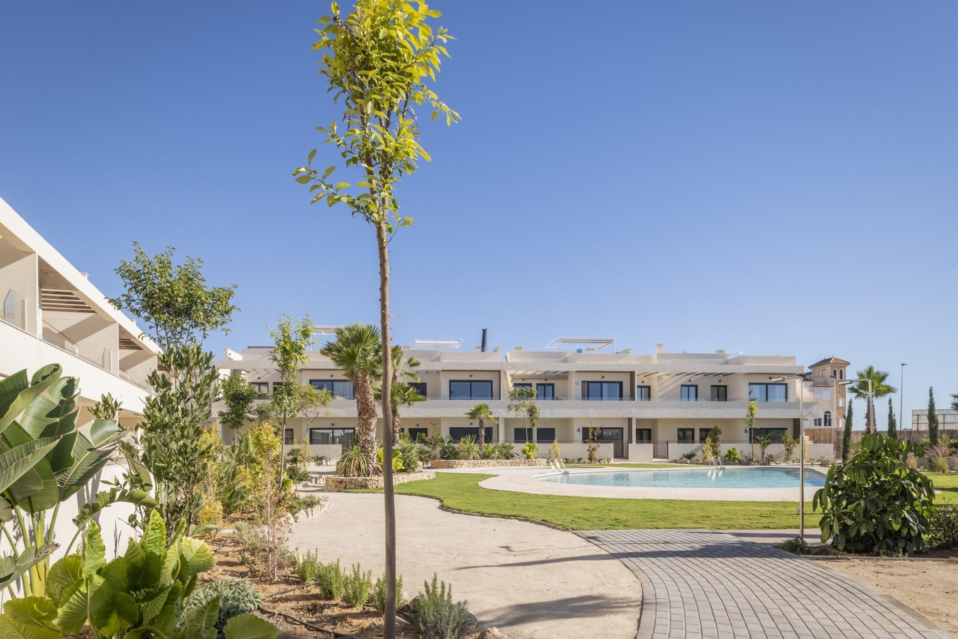 Novostavba - Bungalow - Torrevieja - Villa Amalia