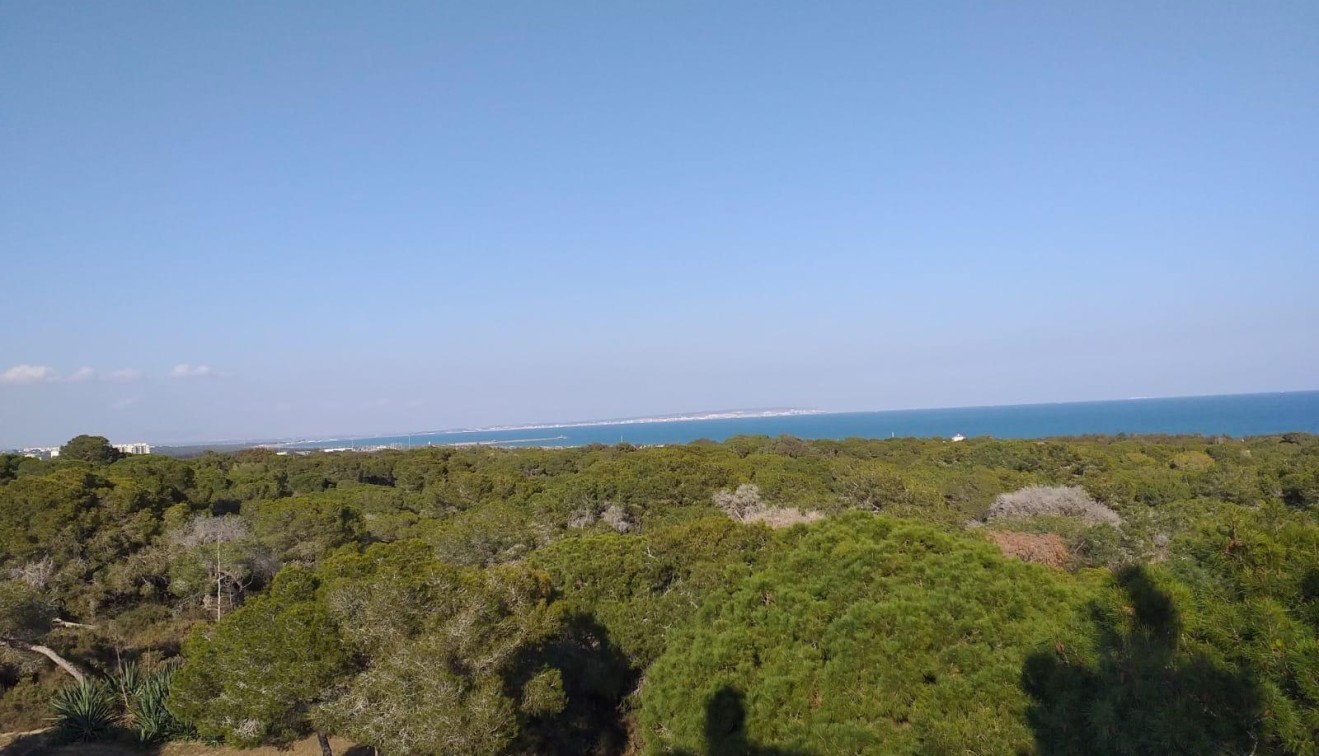 Novostavba - Penthouse - Guardamar del Segura - Pueblo