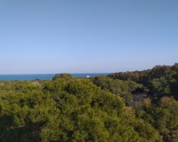 Novostavba - Penthouse - Guardamar del Segura - Pueblo