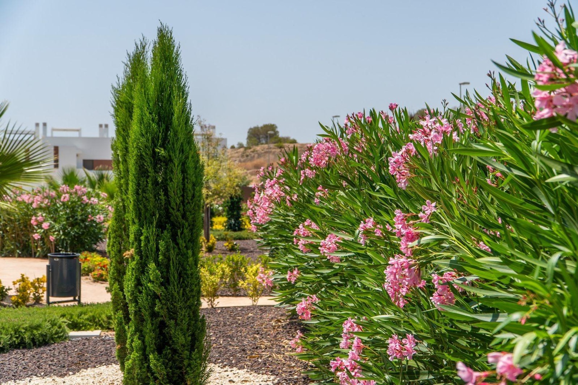 Novostavba - Town House - Orihuela - Vistabella Golf