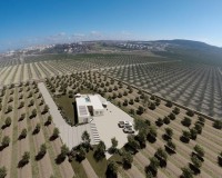 Novostavba - Villa - Algorfa - Lomas De La Juliana