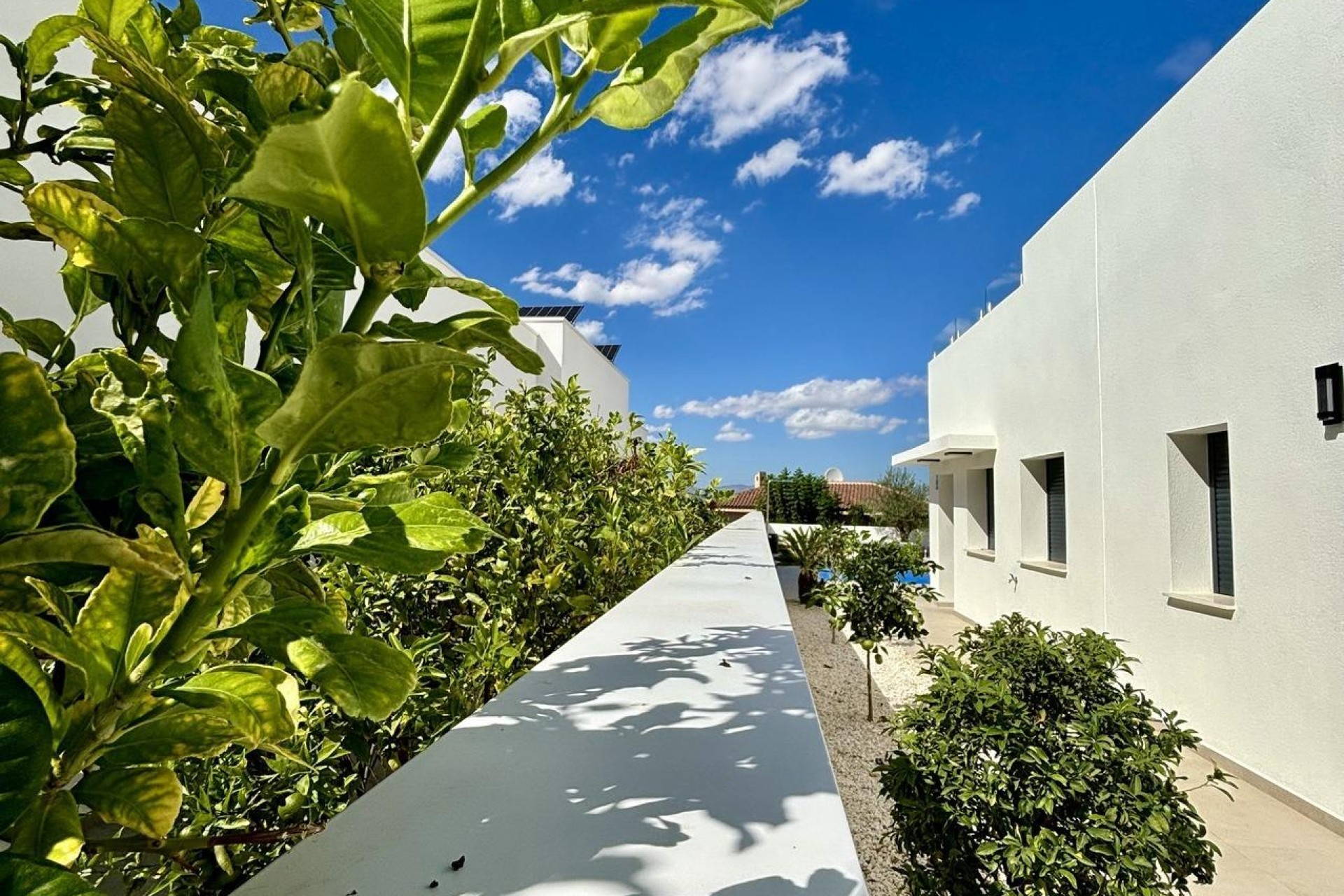 Novostavba - Villa - Benijófar - Pueblo
