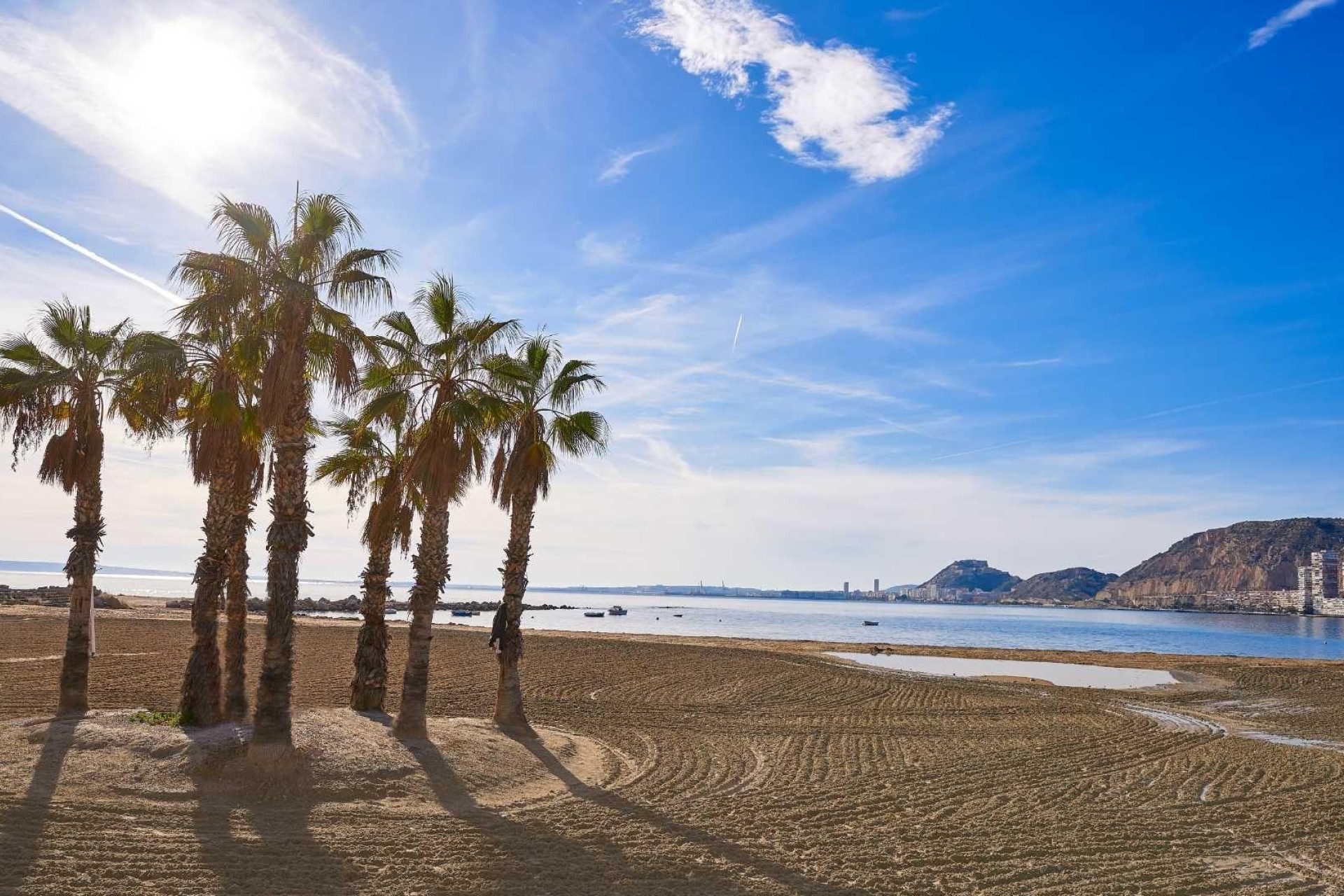 Novostavba - Villa - Els Poblets - Partida Barranquets