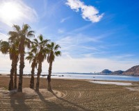 Novostavba - Villa - Els Poblets - Partida Barranquets