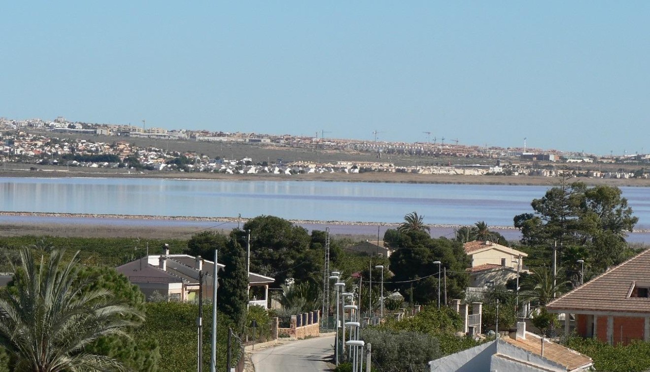 Novostavba - Villa - Los Montesinos - La herrada
