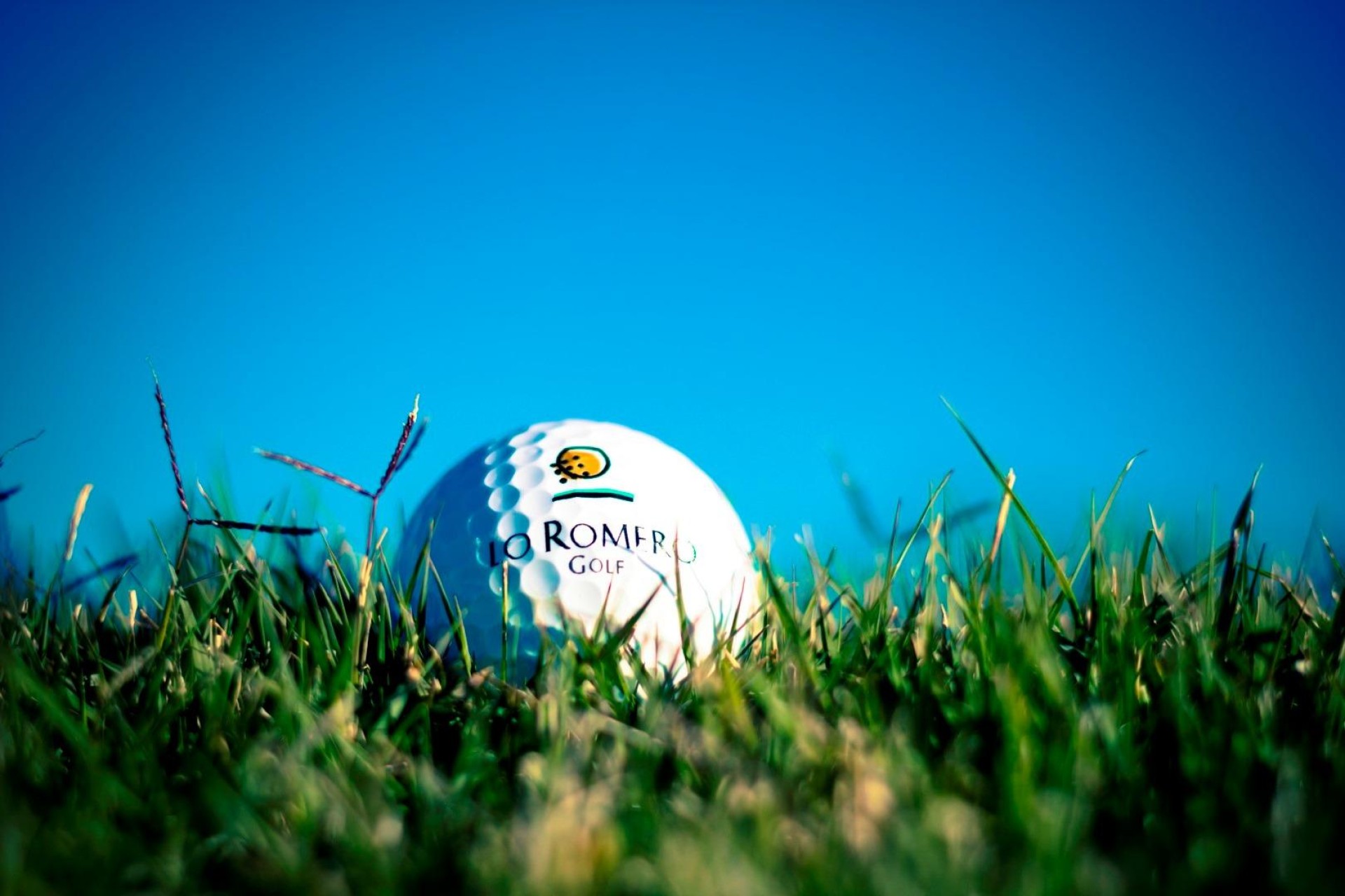 Novostavba - Villa - Pilar de La Horadada - Lo Romero Golf