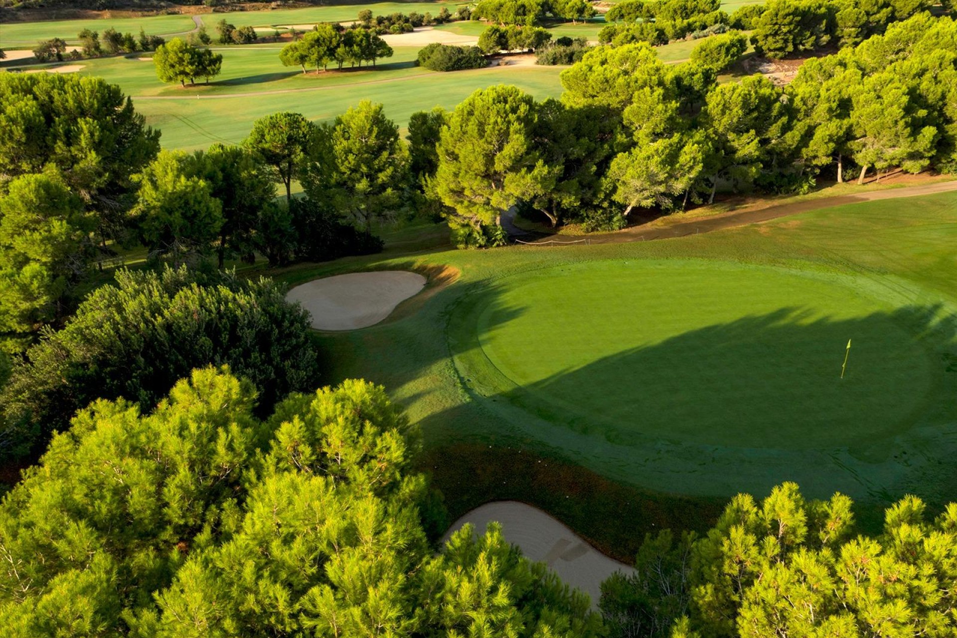 Novostavba - Villa - Pilar de La Horadada - Lo Romero Golf