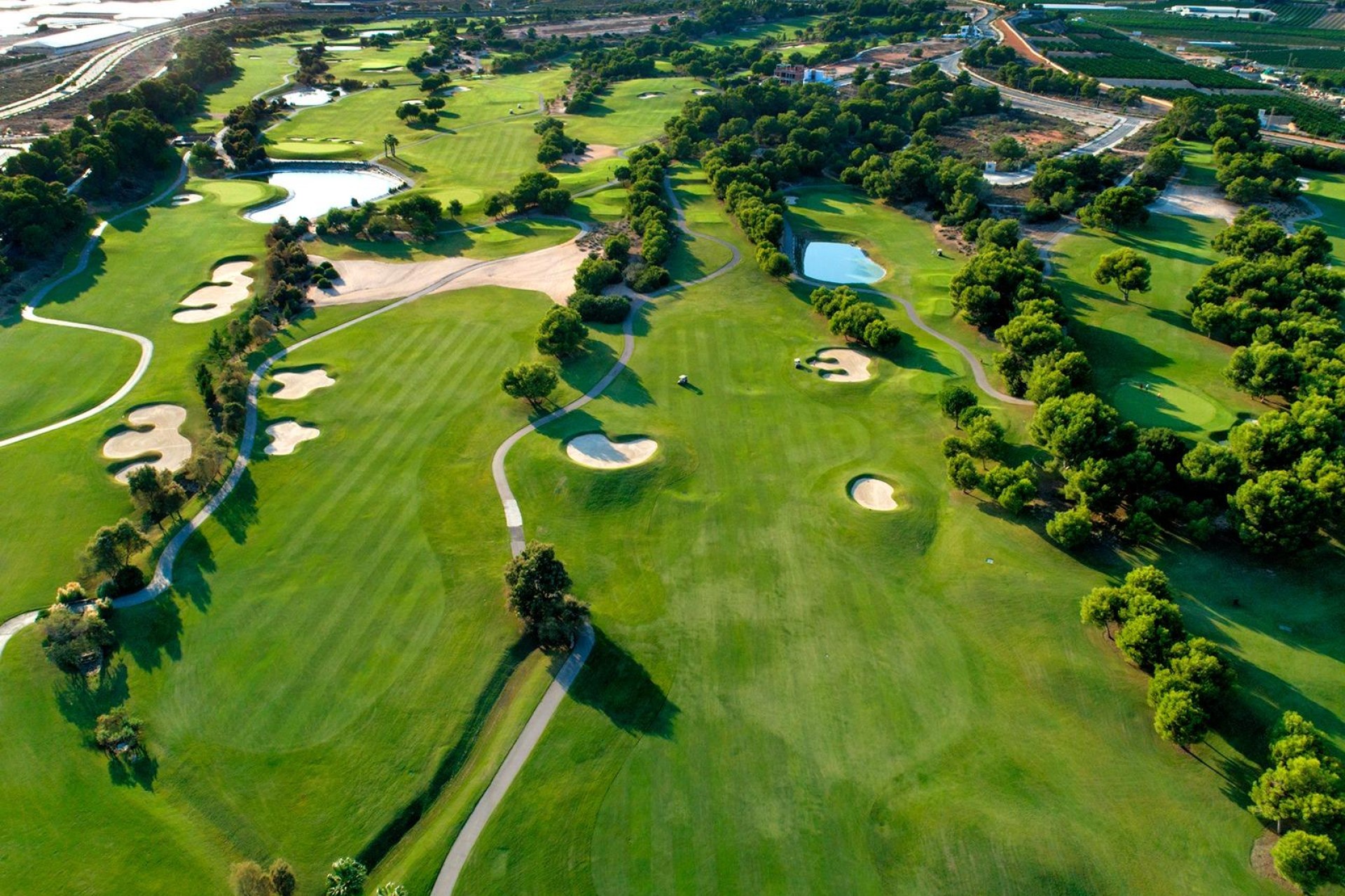 Novostavba - Villa - Pilar de La Horadada - Lo Romero Golf