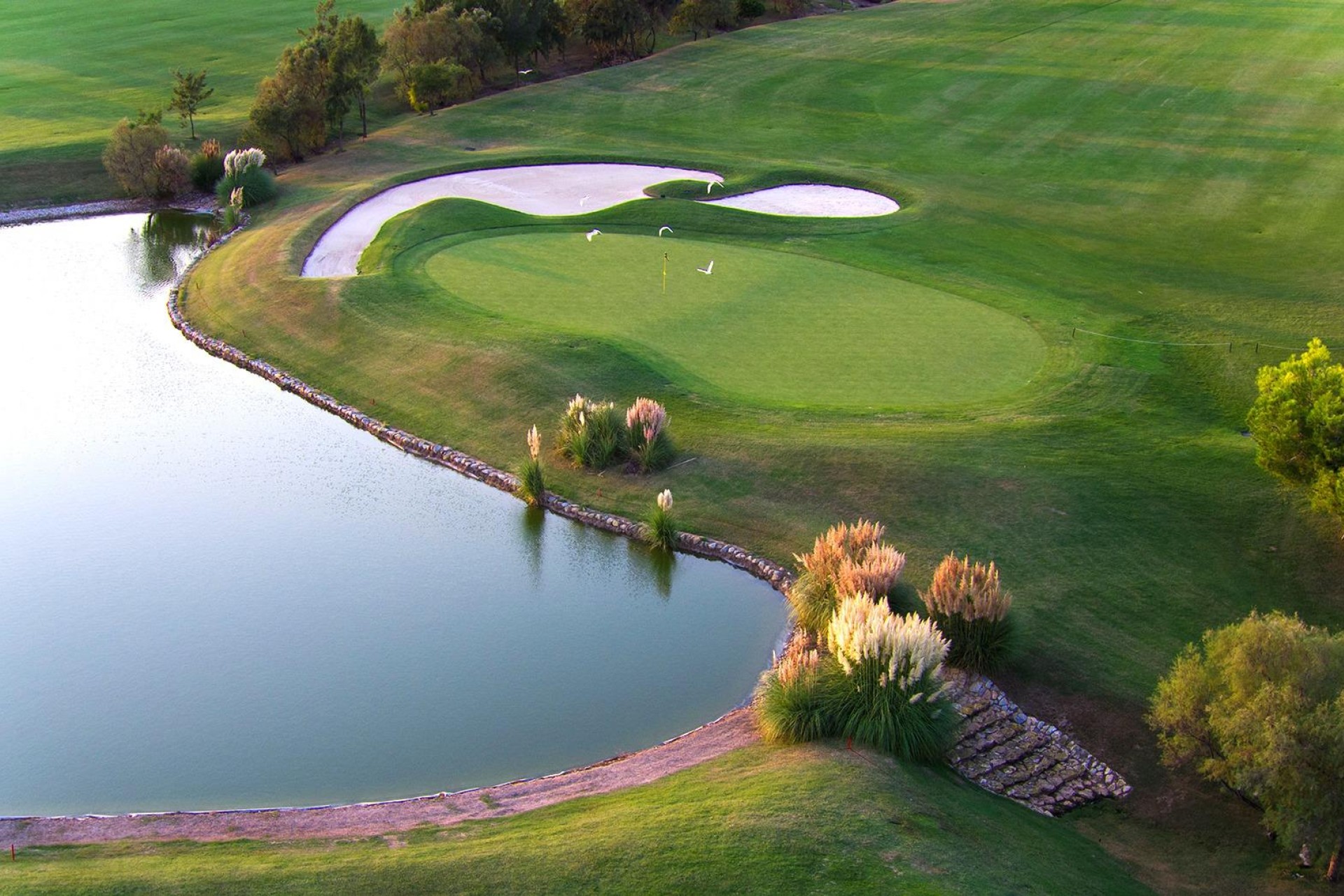 Novostavba - Villa - Pilar de La Horadada - Lo Romero Golf