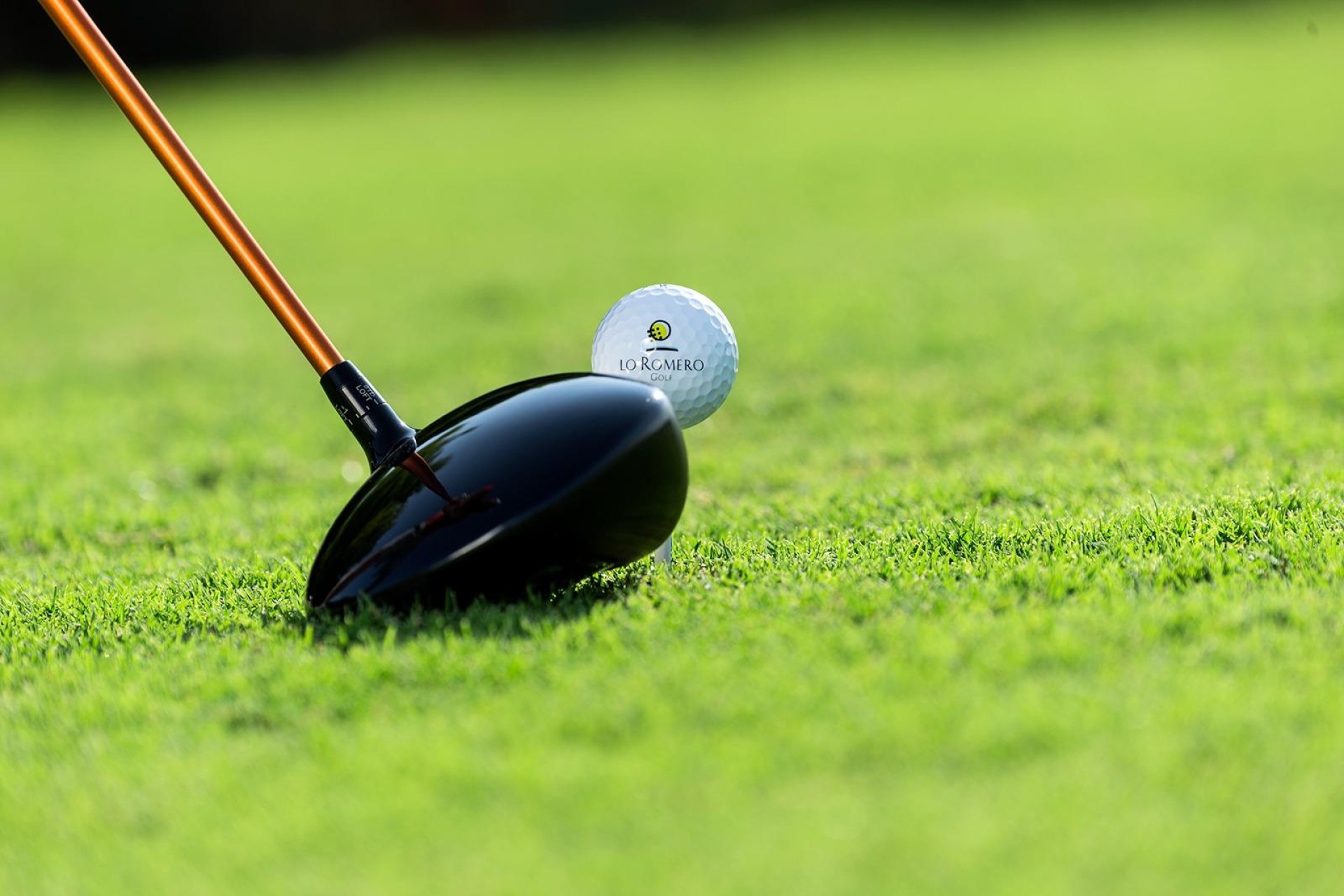 Novostavba - Villa - Pilar de La Horadada - Lo Romero Golf