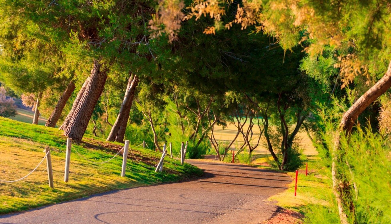 Novostavba - Villa - Pilar de La Horadada - Lo Romero Golf