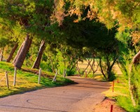 Novostavba - Villa - Pilar de La Horadada - Lo Romero Golf