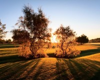 Novostavba - Villa - Pilar de La Horadada - Lo Romero Golf