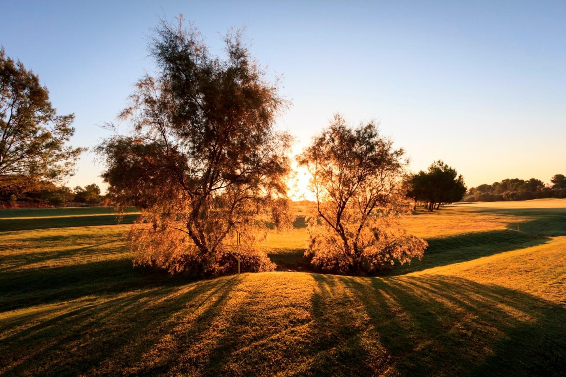 Novostavba - Villa - Pilar de La Horadada - Lo Romero Golf