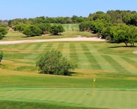 Novostavba - Villa - Pilar de La Horadada - Lo Romero Golf