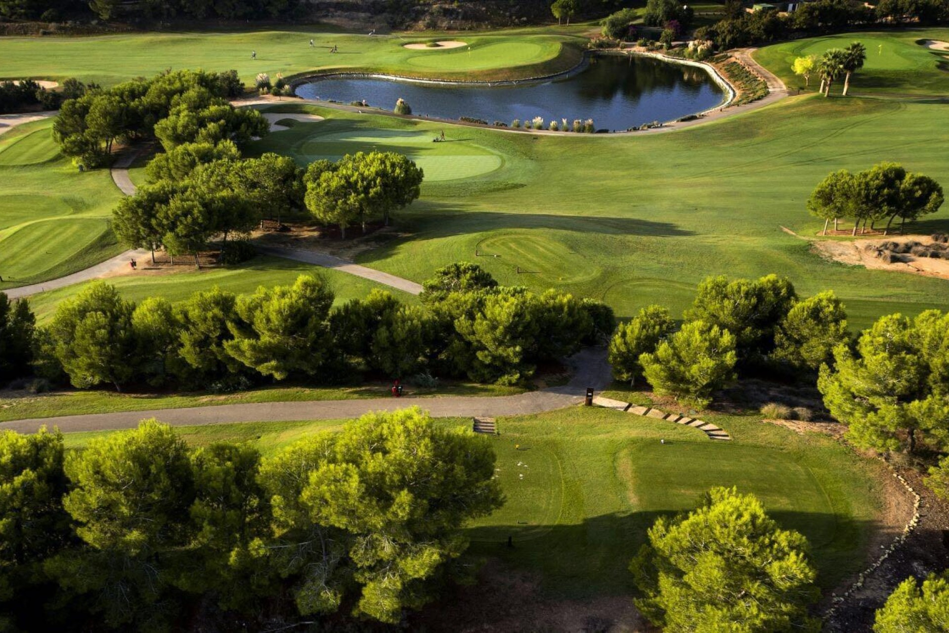 Novostavba - Villa - Pilar de La Horadada - Lo Romero Golf