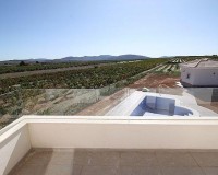 Novostavba - Villa - Pinoso - Camino Del Prado