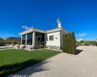 Novostavba - Villa - Pinoso - Camino Del Prado