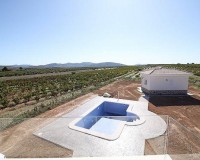 Novostavba - Villa - Pinoso - Camino Del Prado