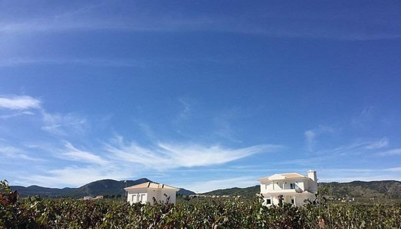 Novostavba - Villa - Pinoso - Camino Del Prado