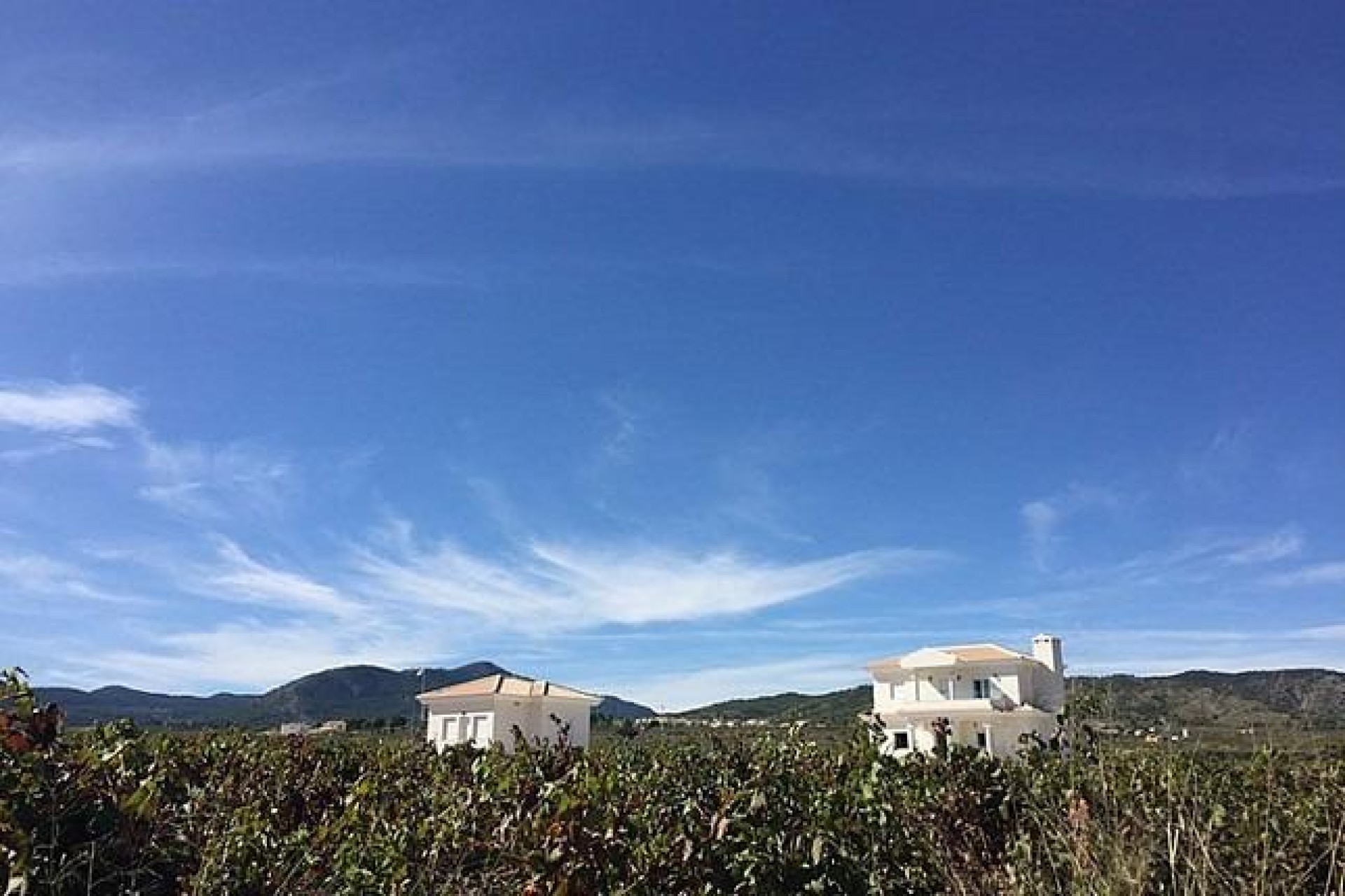 Novostavba - Villa - Pinoso - Camino Del Prado