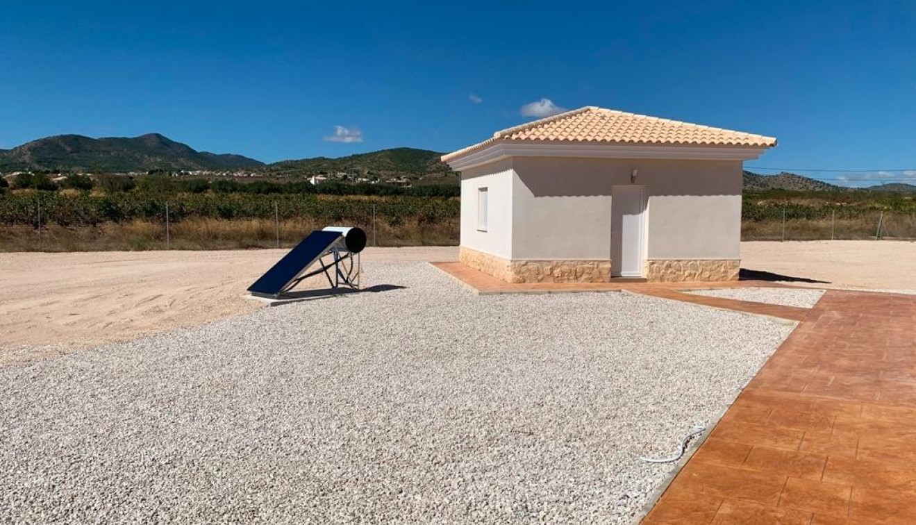 Novostavba - Villa - Pinoso - Camino Del Prado