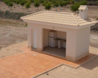 Novostavba - Villa - Pinoso - Camino Del Prado
