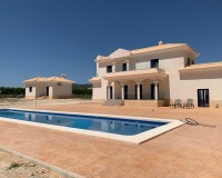 Novostavba - Villa - Pinoso - Camino Del Prado