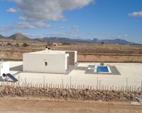 Novostavba - Villa - Pinoso - Camino Del Prado