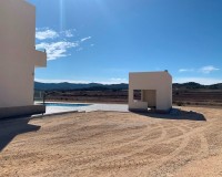 Novostavba - Villa - Pinoso - Camino Del Prado