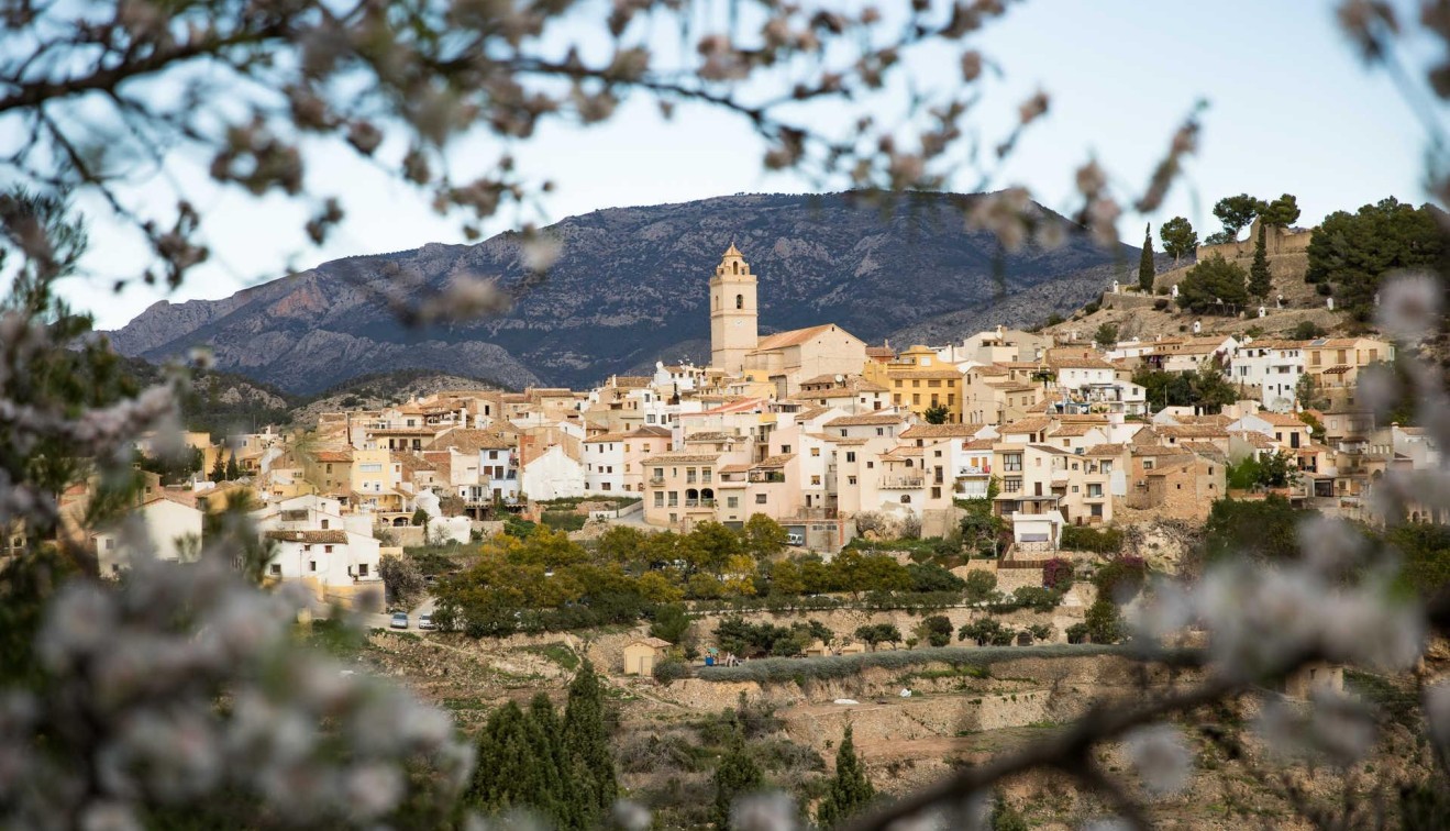 Novostavba - Villa - Polop - Polop Hills