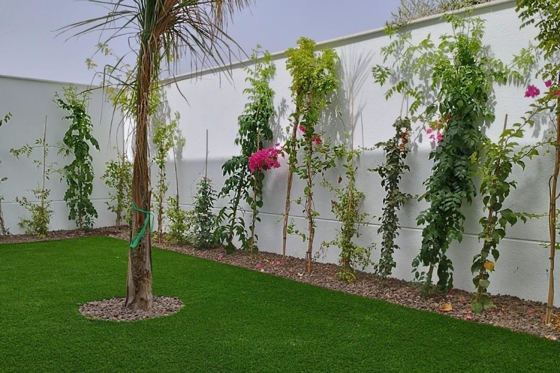 Novostavba - Villa - San Javier - Parque del doce