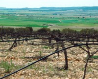 Novostavba - Villa - Yecla