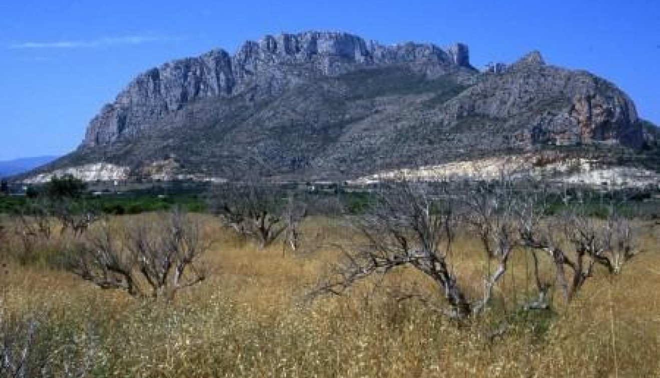 Nowo zbudowane - Apartament - El Verger