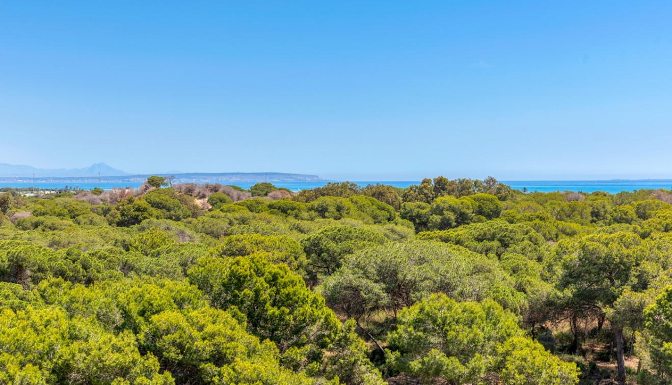 Nowo zbudowane - Apartament - Guardamar del Segura - Puerto Deportivo