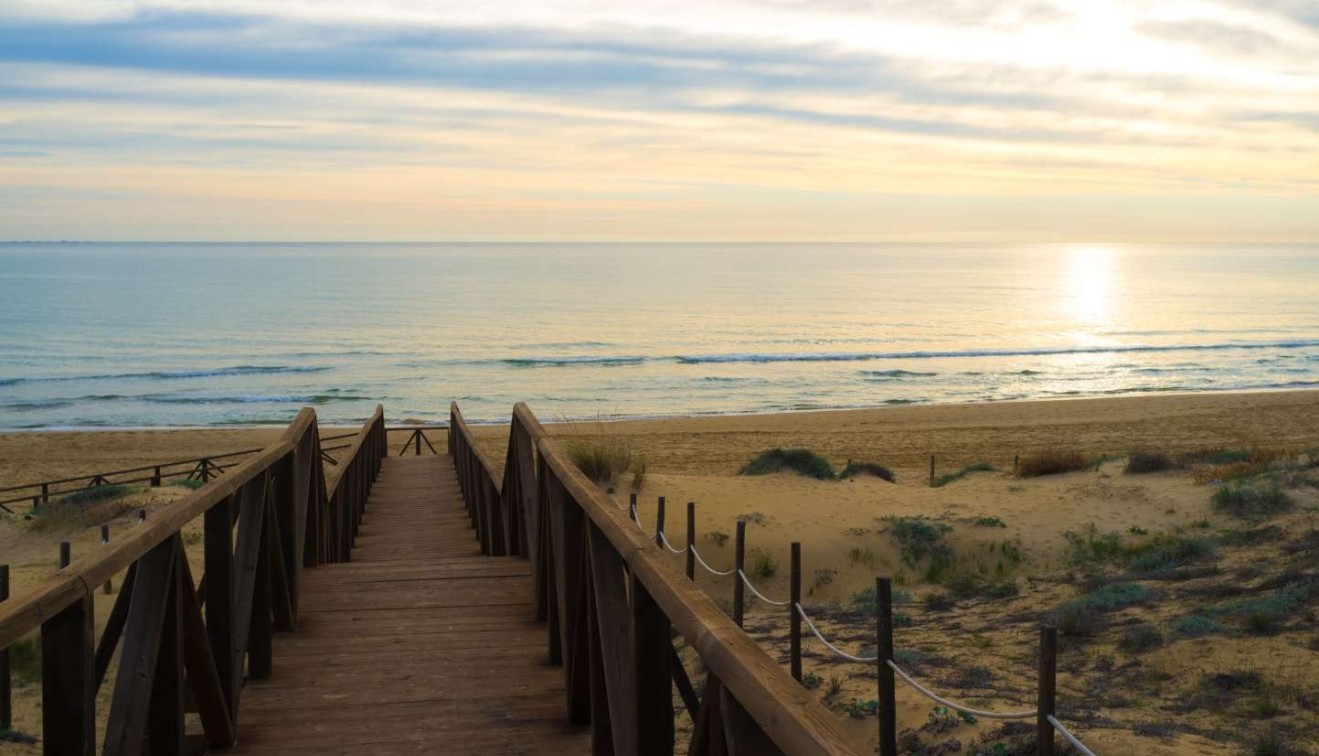 Nowo zbudowane - Apartament - Guardamar del Segura