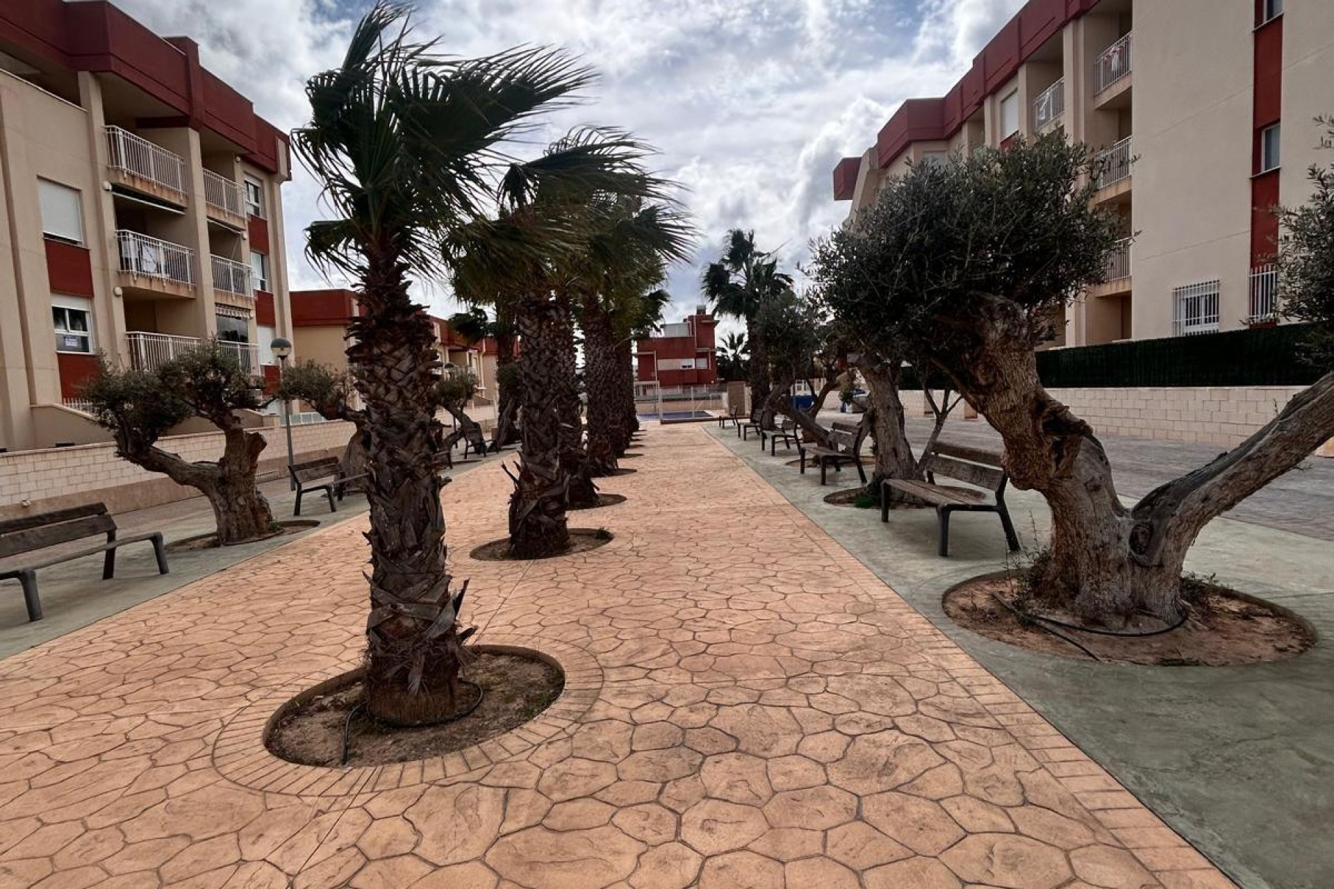 Nowo zbudowane - Apartament - Orihuela costa - Lomas de Cabo Roig