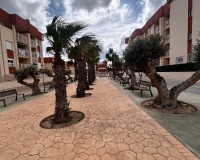 Nowo zbudowane - Apartament - Orihuela costa - Lomas de Cabo Roig