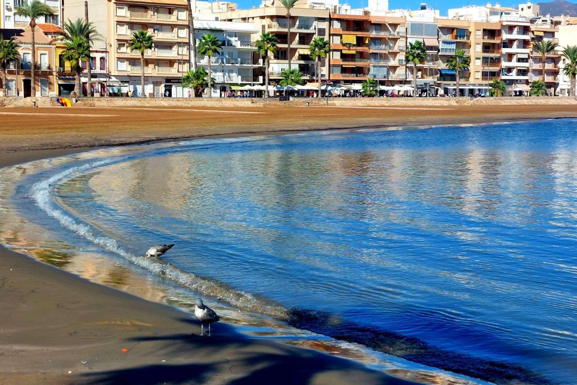 Nowo zbudowane - Bungalow - Fuente Álamo - La Pinilla