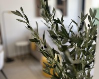 Nowo zbudowane - Bungalow - San Fulgencio - Pueblo