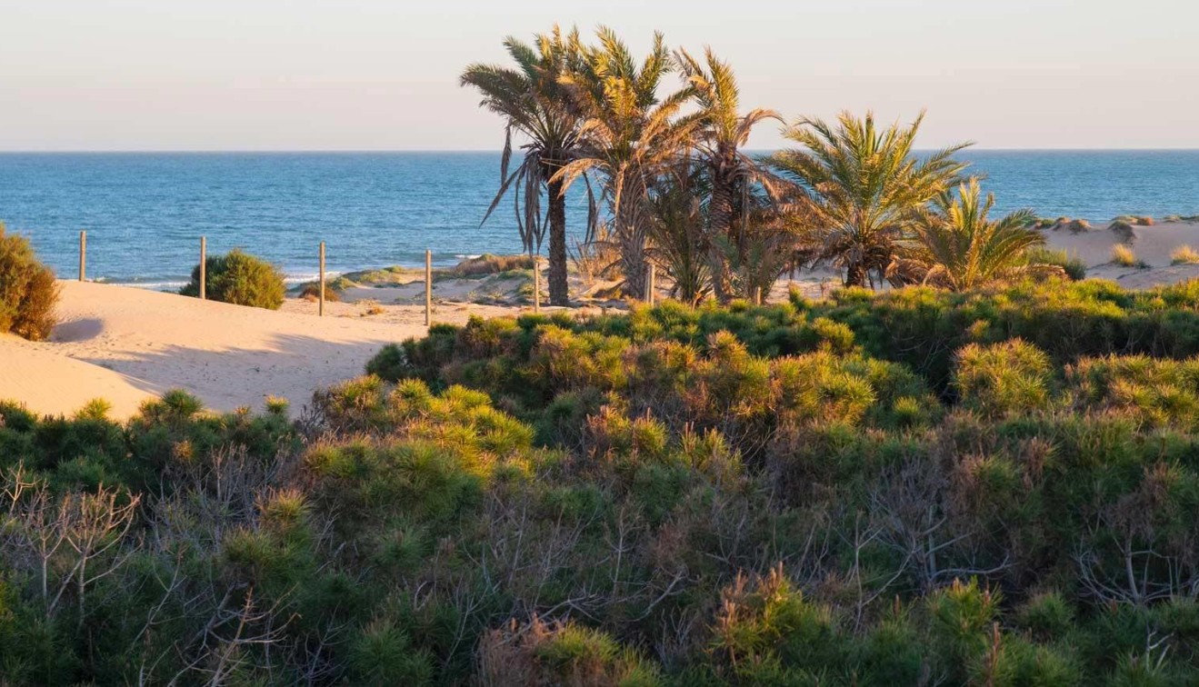 Nowo zbudowane - Penthouse - Guardamar del Segura - Avda del Puerto