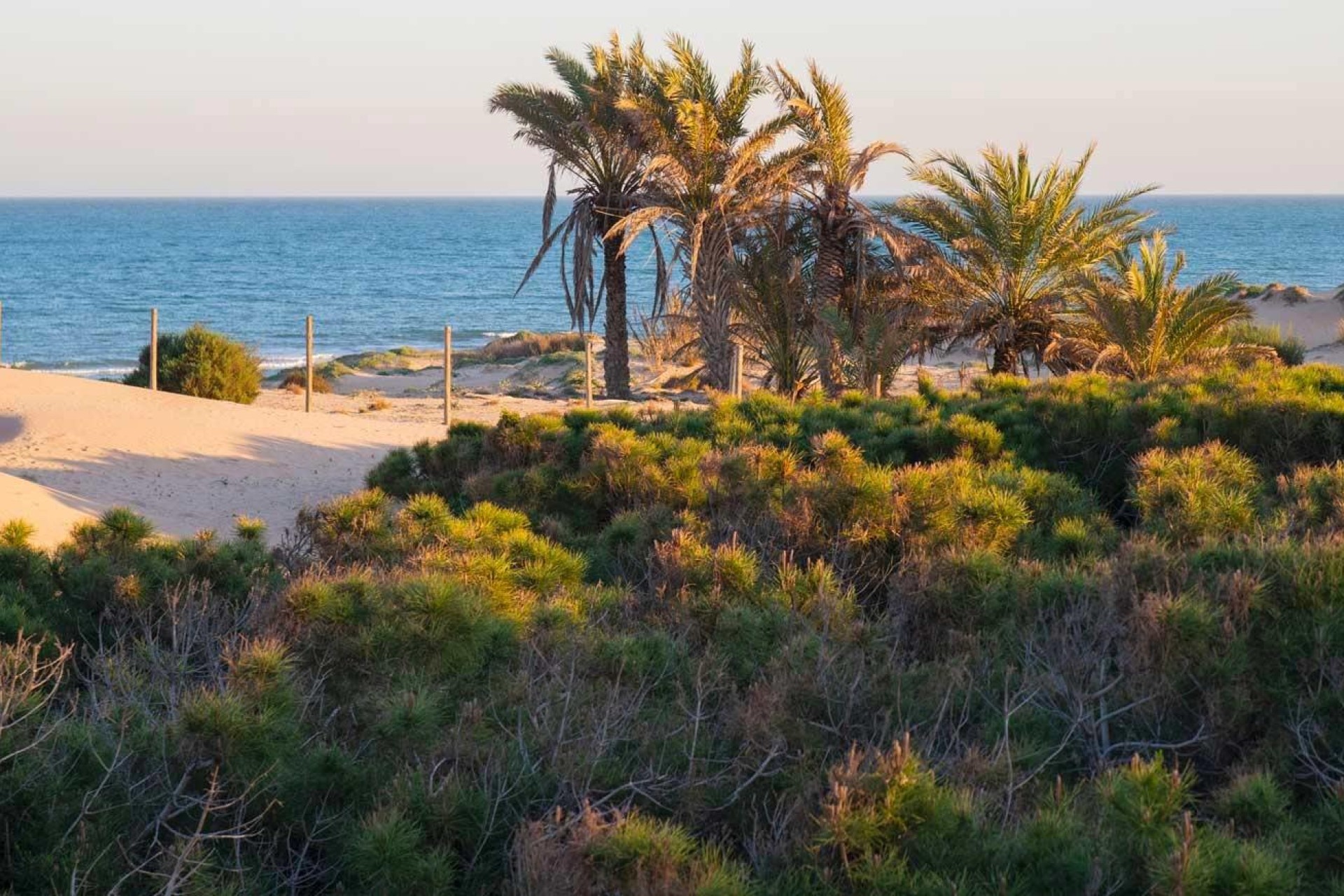 Nowo zbudowane - Penthouse - Guardamar del Segura - Avda del Puerto