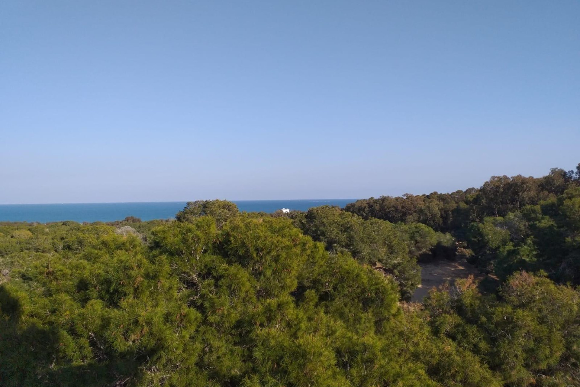 Nowo zbudowane - Penthouse - Guardamar del Segura - Pueblo