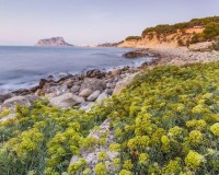 Nowo zbudowane - Willa - Benissa - Cala Advocat